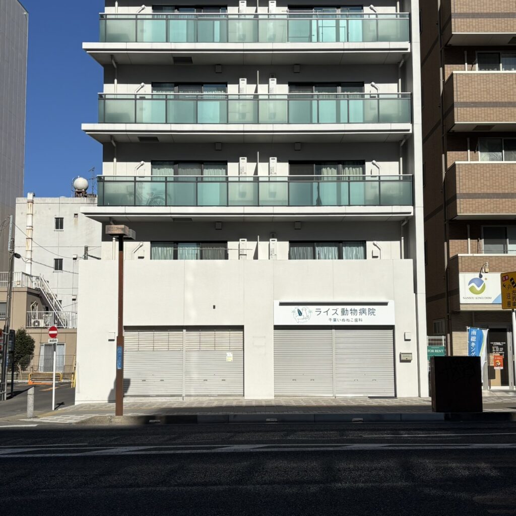 ライズ動物病院 千葉いぬねこ歯科　オープン予定