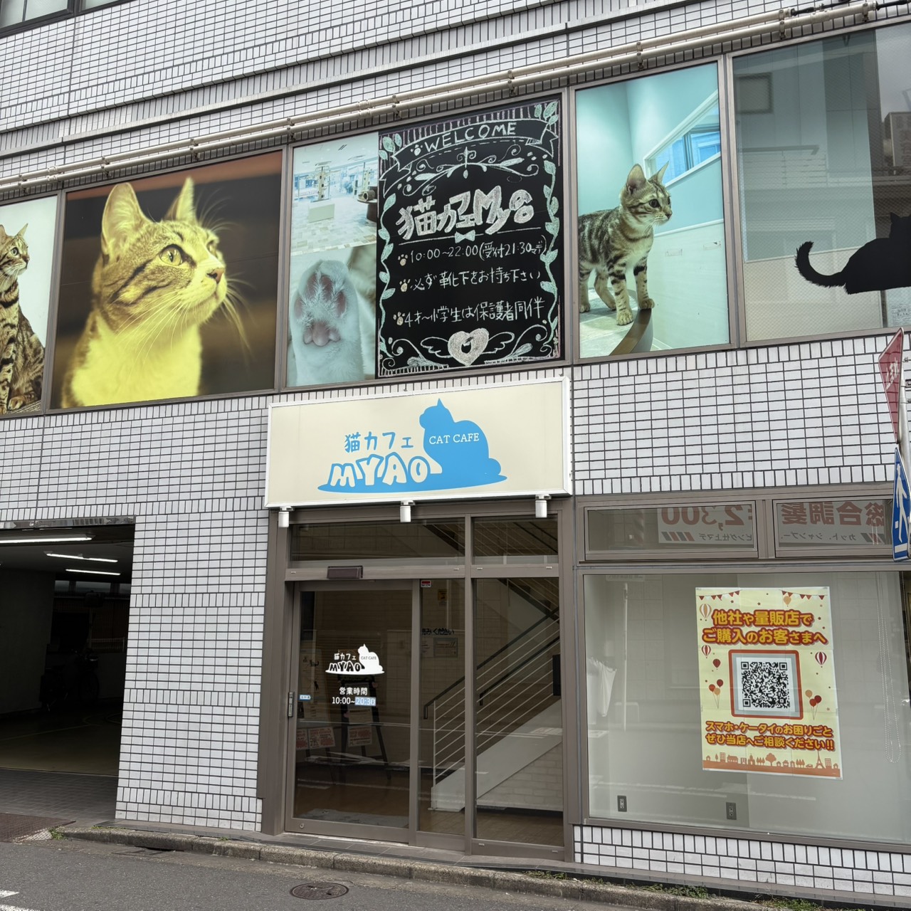 猫カフェMyao　千葉